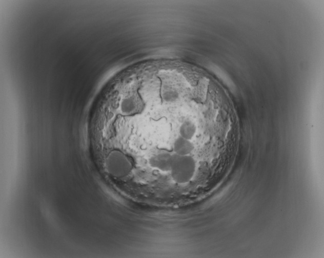 X0000113851075200909241242