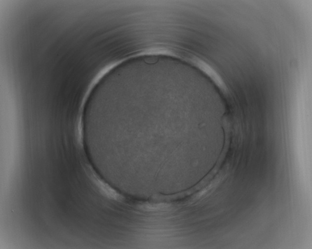 X0000113851076200909241242