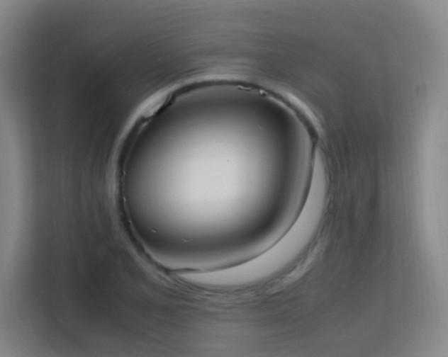 X0000113851077200909241242