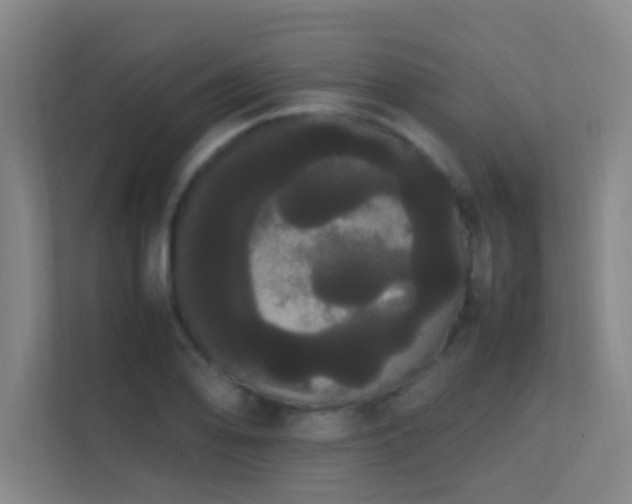 X0000113851078200909241242