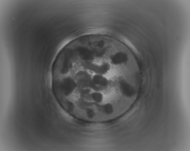 X0000113851079200909241242