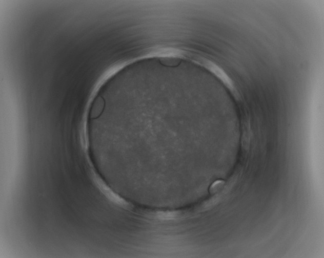 X0000113851080200909241242