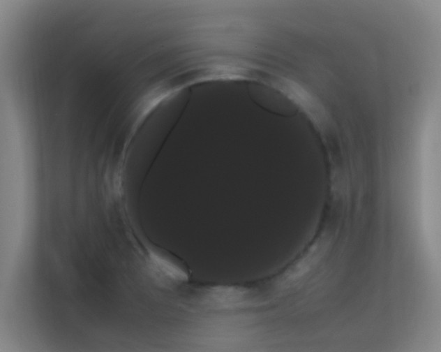 X0000113851081200909241242