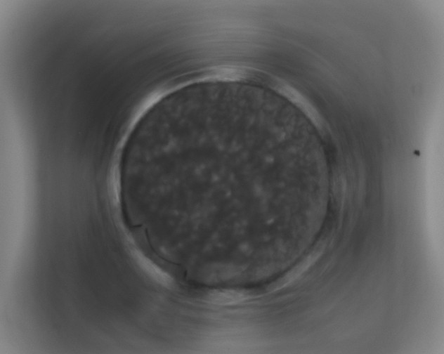 X0000113851083200909241242