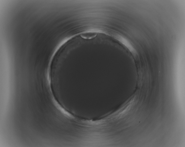 X0000113851084200909241242