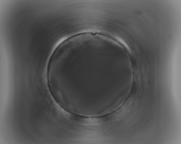 X0000113851087200909241242