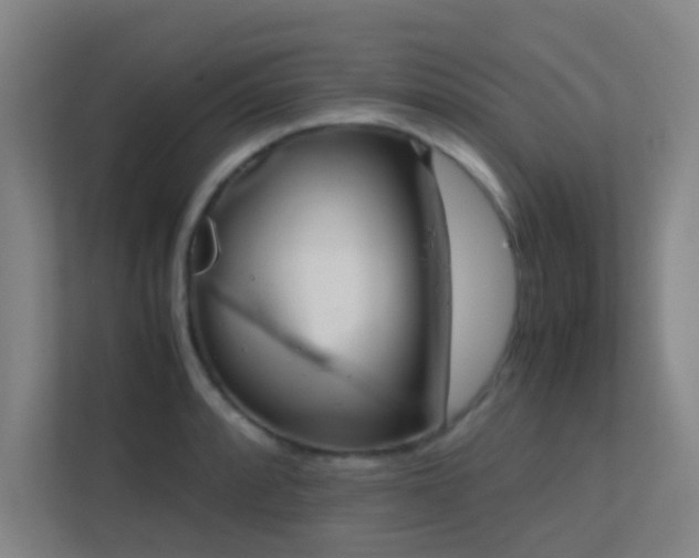 X0000113851088200909241242