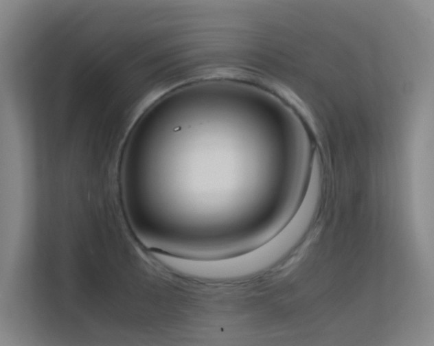 X0000113851089200909241242