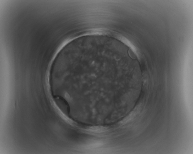 X0000113851091200909241242