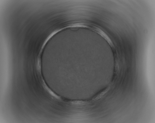 X0000113851092200909241242