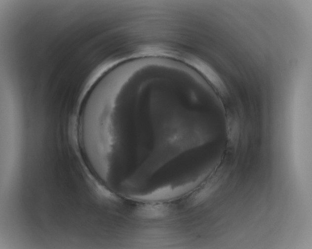 X0000113851094200909241242