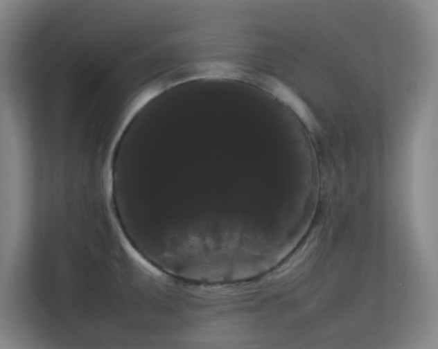 X0000113851095200909241242