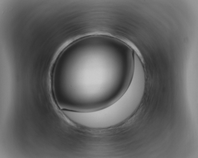 X0000113851096200909241242