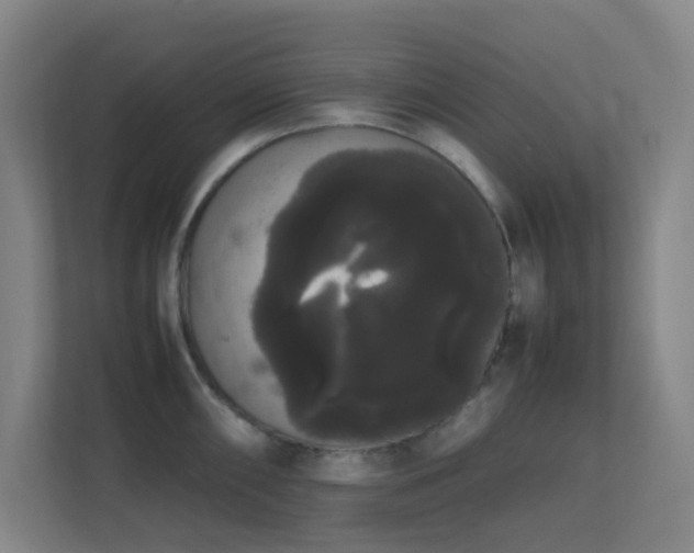 X0000113851098200909241242