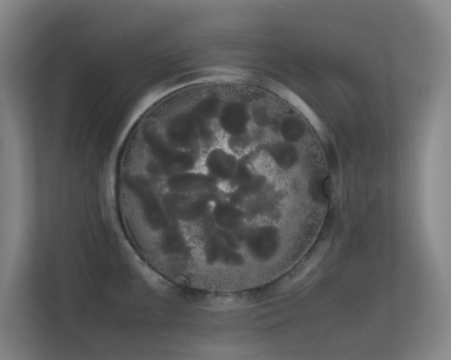 X0000113851099200909241242