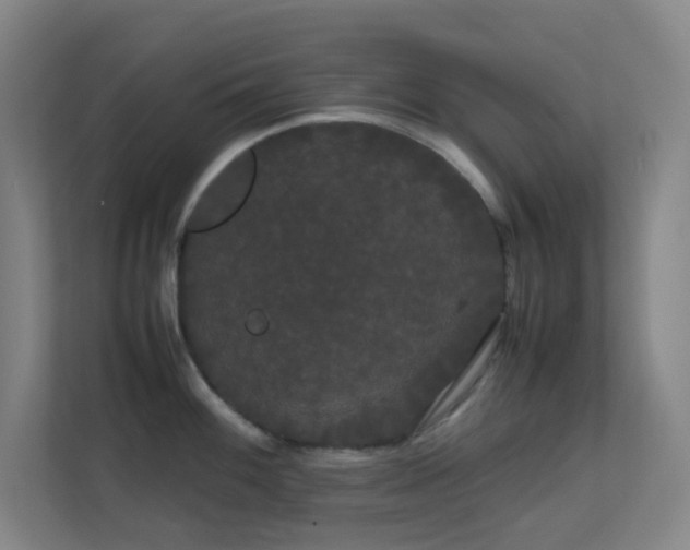 X0000113851100200909241242