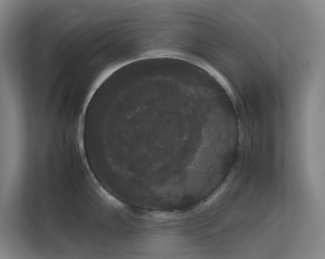 X0000113851102200909241242