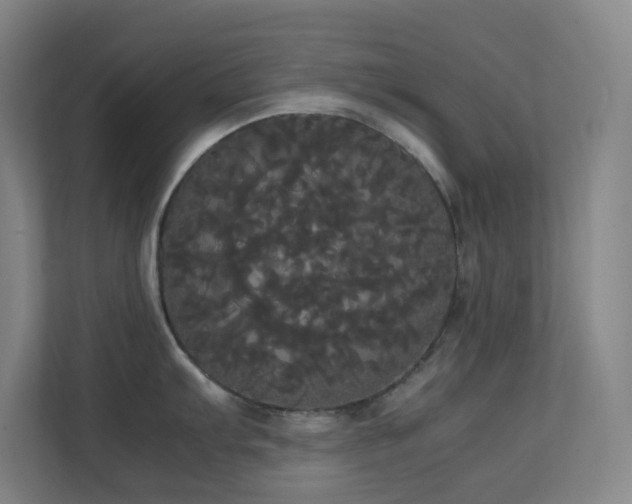 X0000113851103200909241242