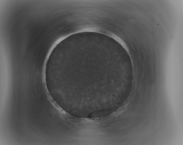 X0000113851104200909241242