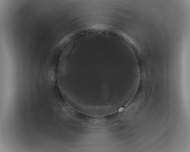 X0000113851110200909241242