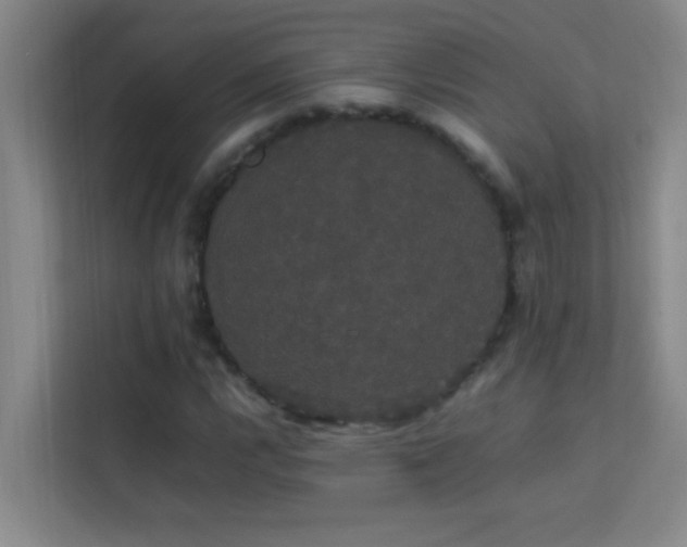 X0000113851112200909241242