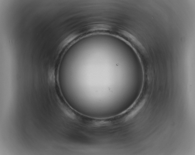 X0000113851113200909241242