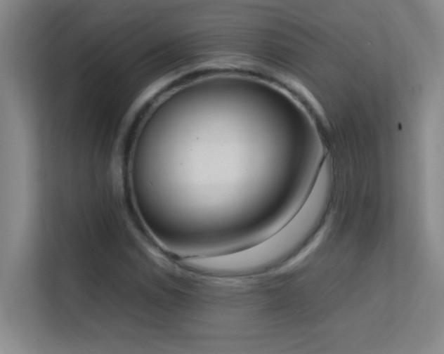 X0000113851114200909241242