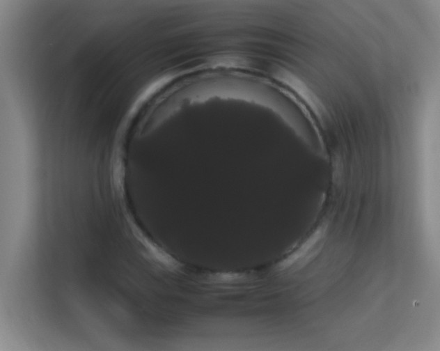 X0000113851115200909241242