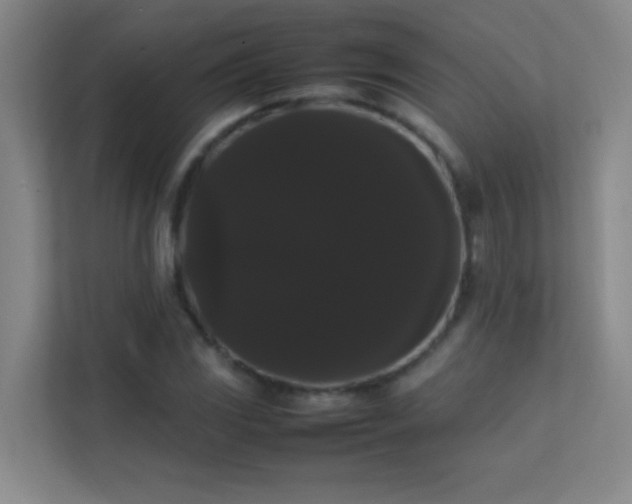 X0000113851117200909241242