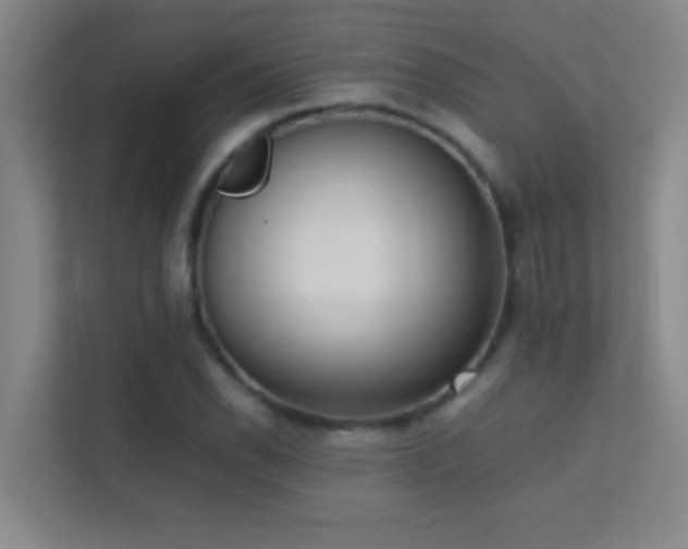 X0000113851118200909241242