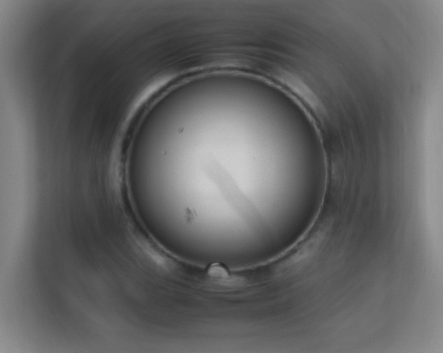 X0000113851119200909241242