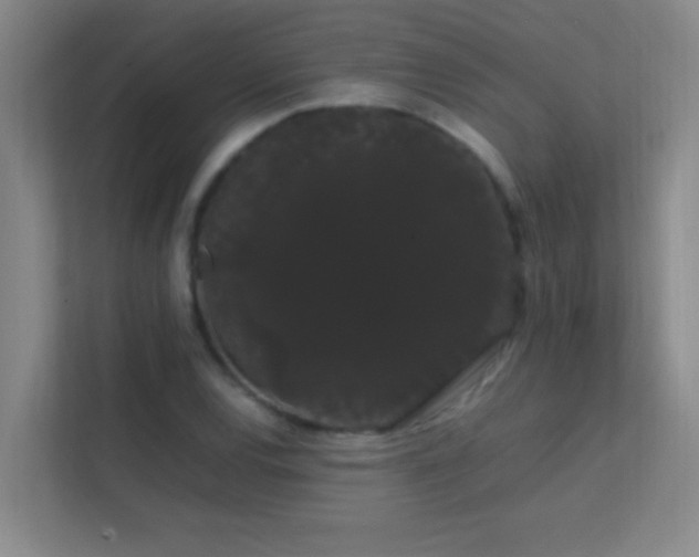 X0000113851120200909241242