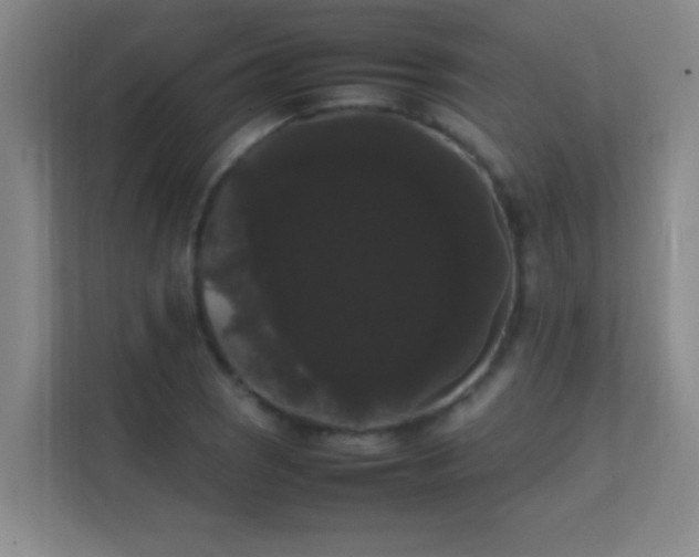 X0000113851121200909241242