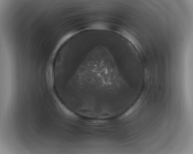 X0000113851123200909241242