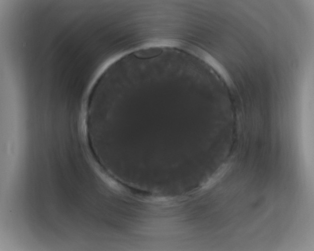 X0000113851124200909241242