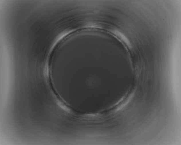 X0000113851125200909241242