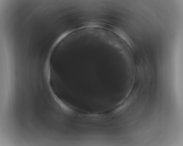 X0000113851127200909241242