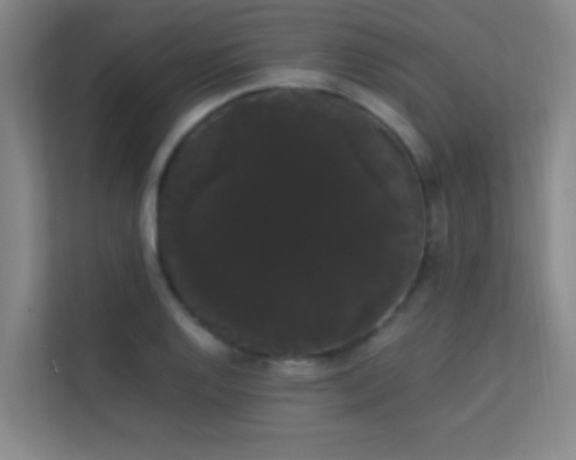 X0000113851128200909241242