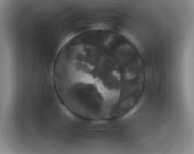 X0000113851129200909241242