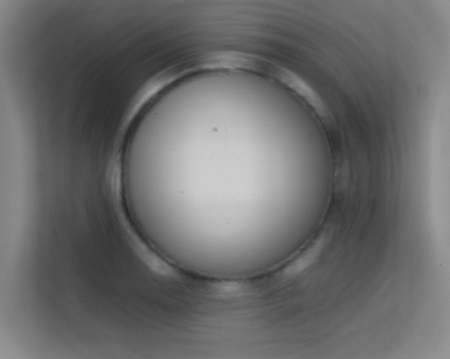 X0000113851130200909241242