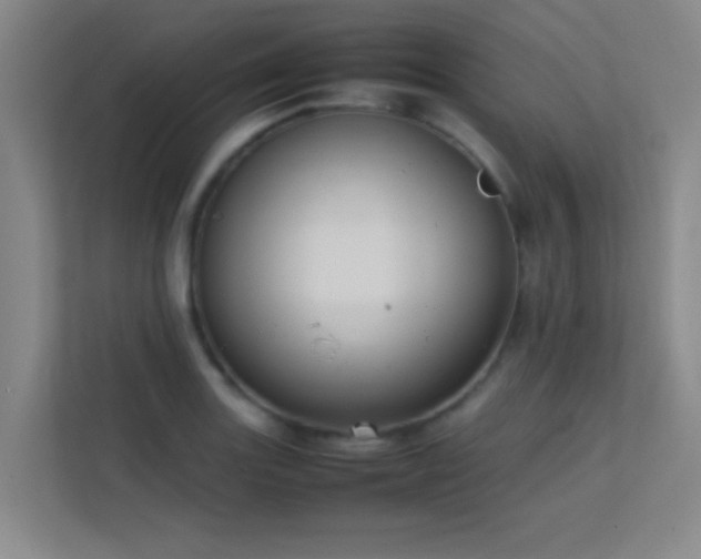 X0000113851131200909241242