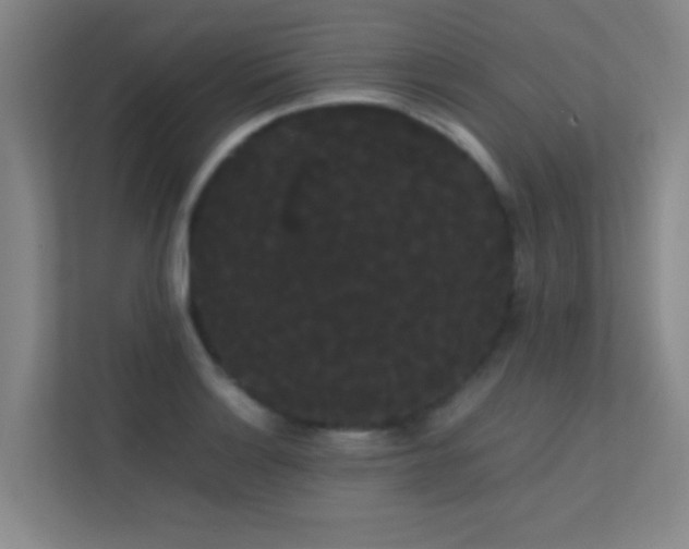 X0000113851132200909241242