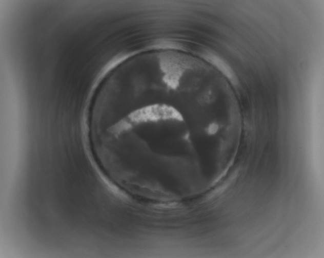 X0000113851133200909241242