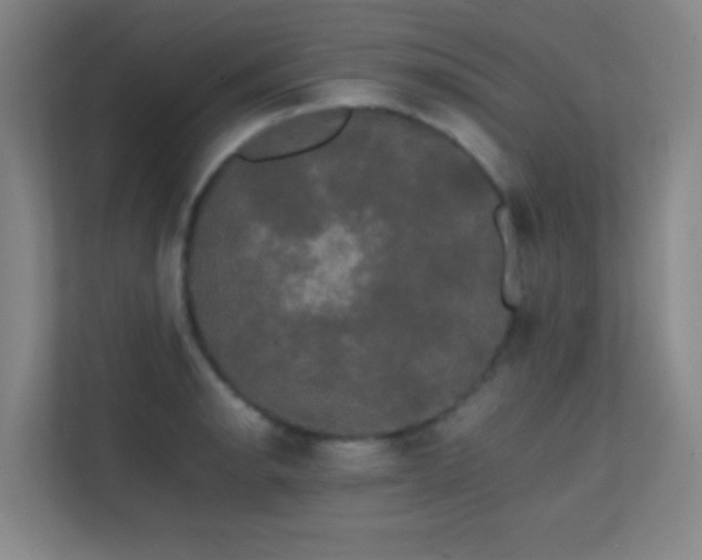 X0000113851134200909241242