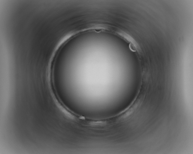 X0000113851135200909241242