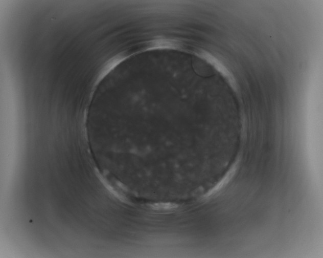 X0000113851137200909241242