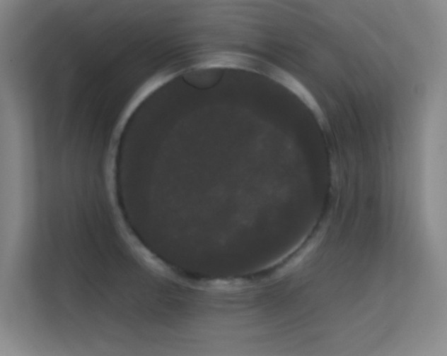 X0000113851138200909241242