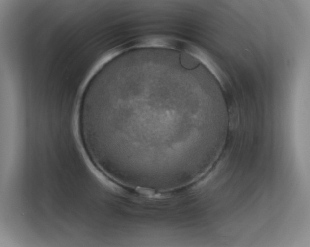 X0000113851139200909241242