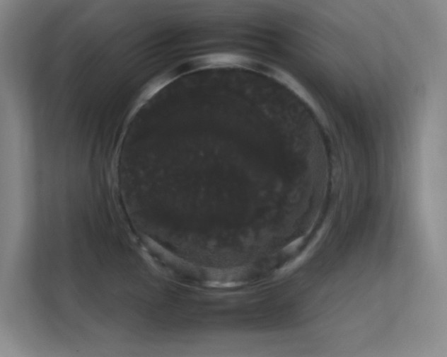 X0000113851145200909241242