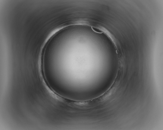 X0000113851147200909241242